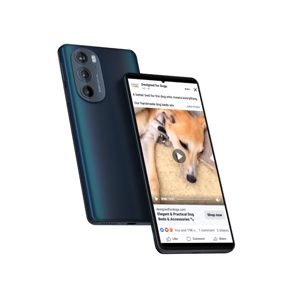 Designed For Dogs Meta Advertising